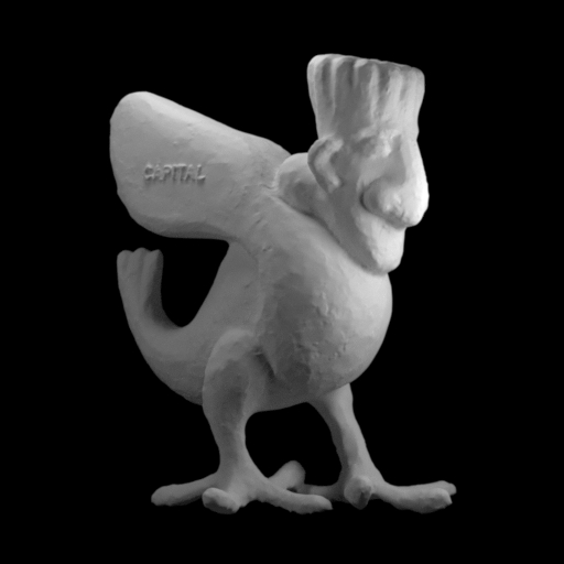Bird